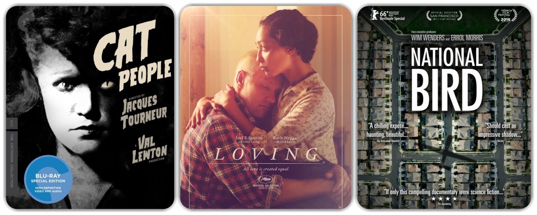 cat-people-loving-national-bird